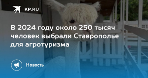 Число агротуристов на Ставрополье с начала года превысило 200 тысяч