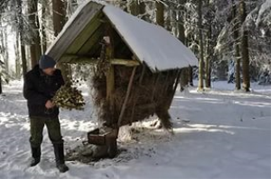 Нацпарк «Земля леопарда» закупил на зиму рекордный запас кормов