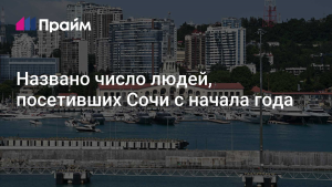 Турпоток в Сочи с начала 2025 года вырос на 5%