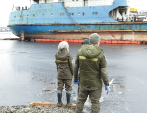 Росприроднадзор оценил ущерб от разлива мазута в Керченском проливе в почти 85 млрд рублей