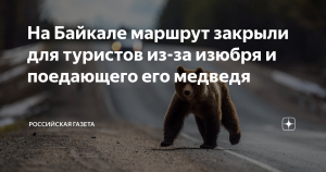 На Байкале маршрут закрыли для туристов из-за изюбря и поедающего его медведя