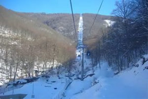 «Красную Поляну» хотят продать