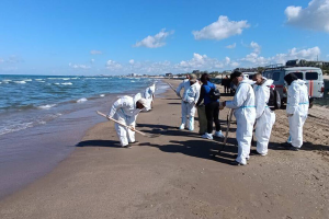 Анапа ограничивает доступ к морю для всех машин, кроме спецтехники из-за масштабных очистных работ