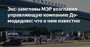 Экс-замминистра экономики назначен главой управляющей компании «Домодедово»