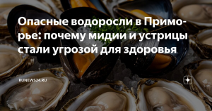 У побережья Приморья обнаружены токсичные микроводоросли