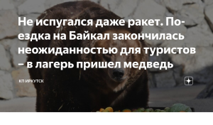 Медведь захватил туристический лагерь на Байкале