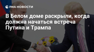 Белый дом обнародовал график переговоров Трампа и Путина