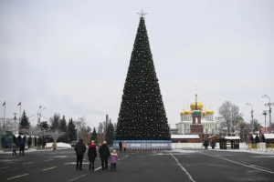 Два ледовых катка и 30-метровая ель появятся у тульского кремля