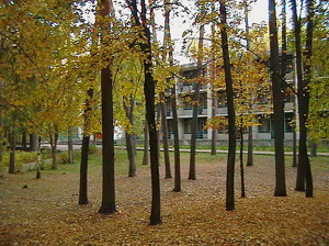 Экскурсионное меню: итоги Инфотура