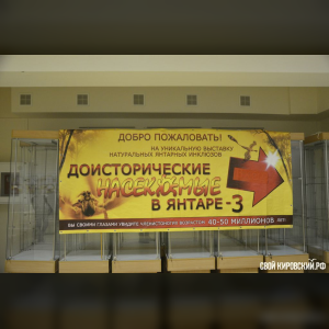 В Кирове открывается выставка «Вятский кинолюбитель»