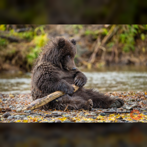 В Галерее Классической Фотографии представят лучшие кадры фестиваля «Первозданная Россия»