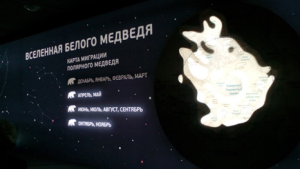 Вселенная Белого медведя