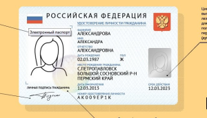 В скором будущем в России могут появиться электронные визы