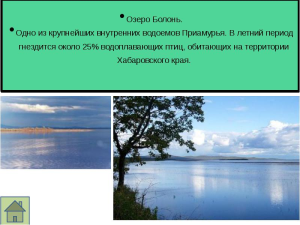 У озера Болонь под Хабаровском нашли два средневековых поселения