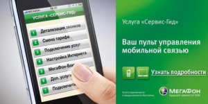 В Саратовской области запустят бесплатный мобильный гид