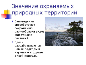 В 2017 году в России появятся новые заповедники и национальные парки