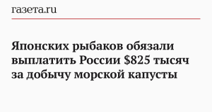 Япония заплатит Росрыболовству 825 тысяч долларов за право вылова ламинарии
