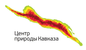 Победители конкурса экологических эссе получат путевки в «Артек»