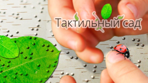 В «Аптекарском огороде» появится тактильный сад для людей с нарушениями зрения