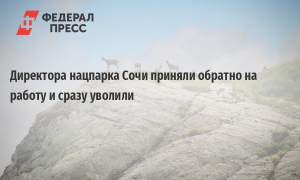 Директор Сочинского нацпарка восстановлен в должности и вышел на работу