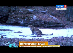 В нацпарке «Земля леопарда» создали реестр браконьеров