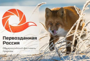 Фестиваль фотографий дикой природы «Первозданная Россия» открылся в Москве