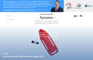 На благотворительном аукционе в рамках Восточного экономического форума разыграют более 30 лотов