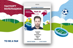 Опыт обращения Fan ID на ЧМ-2018 могут применить к электронным визам в ДФО