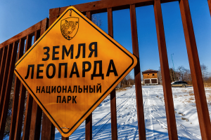 Нацпарк «Земля леопарда» в Приморье планирует организовать участки для туристов