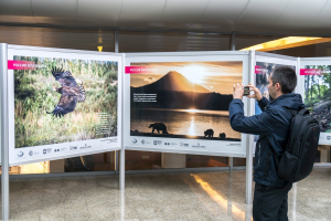 В аэропорту Шереметьево открылись фотовыставки