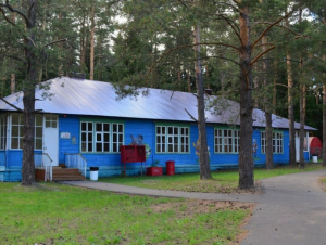 Кировские дети подцепили ковид-19 в лагере