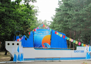 Сын хабаровского врио губернатора окажется в «Океане»