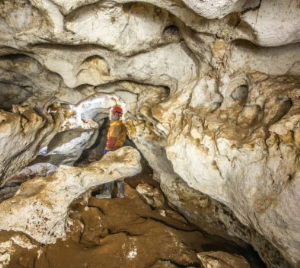 На новогодних каникулах в Крыму откроют пещеру-музей