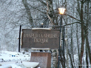 В Карелии в двухсотлетнем санатории зафиксирована вспышка норовируса