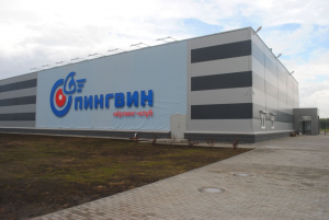 Керлинг-центр открыли в Новосибирске