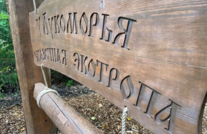 Первый детский экомаршрут появился на севере Петербурга у Финского залива