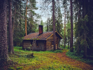 Загородная жизнь