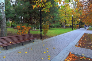 Власти отменили концерт и фейерверк ко Дню города в Ростове-на-Дону
