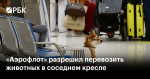 *Аэрофлот* разрешит провозить животных на соседнем кресле самолета