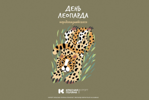 День леопарда отметят на курорте в Сочи