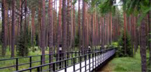 Катынский лес