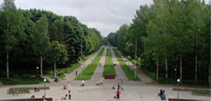Реадовский лесопарк
