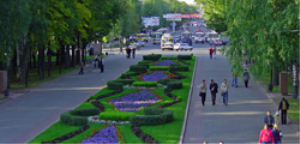 Лагерный сад