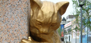 Сквер Сибирских кошек, Тюмень