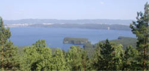 Увильды