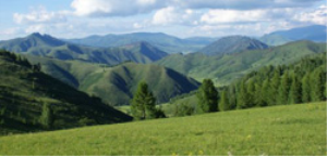 Горный Чарыш