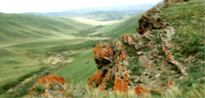 Оренбургский заповедник