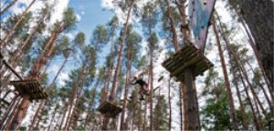 Форест парк