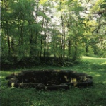Родник Восьмигранный колодец, Гатчина