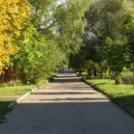 Каштановая аллея ветеранов, Зеленоград